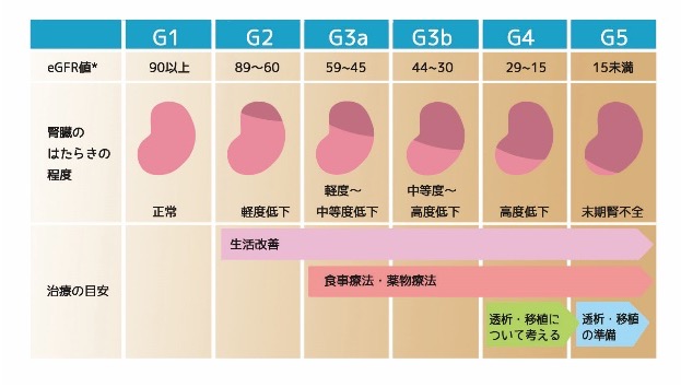 慢性腎臓病